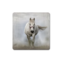 Horse Mammal White Horse Animal Square Magnet by Celenk