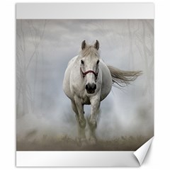 Horse Mammal White Horse Animal Canvas 8  X 10  by Celenk