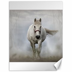 Horse Mammal White Horse Animal Canvas 12  X 16   by Celenk