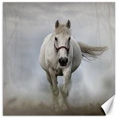 Horse Mammal White Horse Animal Canvas 20  X 20   by Celenk