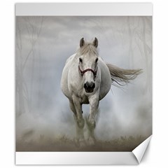 Horse Mammal White Horse Animal Canvas 20  X 24   by Celenk