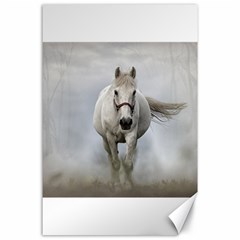 Horse Mammal White Horse Animal Canvas 24  X 36  by Celenk