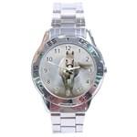 Horse Mammal White Horse Animal Stainless Steel Analogue Watch Front