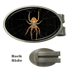 Nsect Macro Spider Colombia Money Clips (oval)  by Celenk