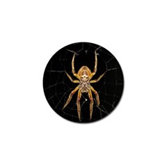 Nsect Macro Spider Colombia Golf Ball Marker by Celenk