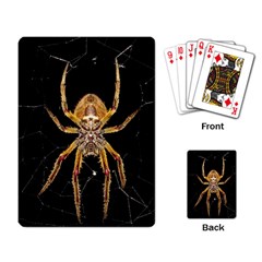 Nsect Macro Spider Colombia Playing Card by Celenk