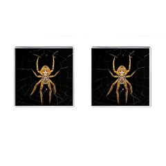 Nsect Macro Spider Colombia Cufflinks (square) by Celenk