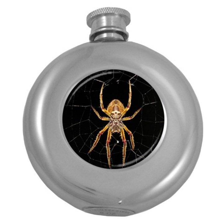 Nsect Macro Spider Colombia Round Hip Flask (5 oz)