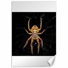 Nsect Macro Spider Colombia Canvas 20  X 30   by Celenk