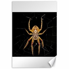 Nsect Macro Spider Colombia Canvas 24  X 36  by Celenk