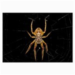 Nsect Macro Spider Colombia Large Glasses Cloth (2-Side) Front