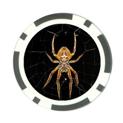 Nsect Macro Spider Colombia Poker Chip Card Guard by Celenk