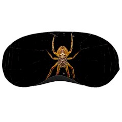 Nsect Macro Spider Colombia Sleeping Masks by Celenk