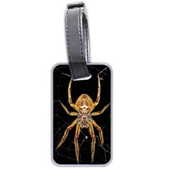 Nsect Macro Spider Colombia Luggage Tags (two Sides) by Celenk