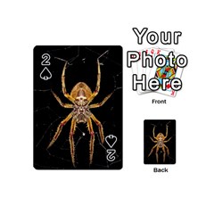 Nsect Macro Spider Colombia Playing Cards 54 (mini)  by Celenk