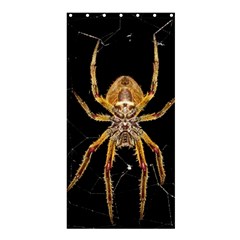 Nsect Macro Spider Colombia Shower Curtain 36  X 72  (stall)  by Celenk