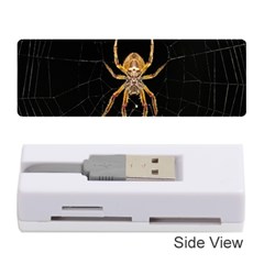 Nsect Macro Spider Colombia Memory Card Reader (stick)  by Celenk