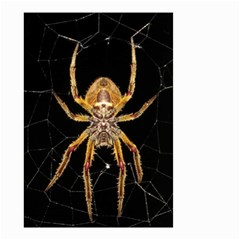 Nsect Macro Spider Colombia Small Garden Flag (two Sides) by Celenk