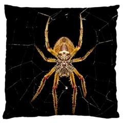 Nsect Macro Spider Colombia Large Cushion Case (two Sides) by Celenk