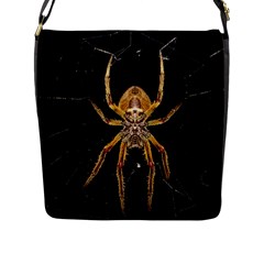 Nsect Macro Spider Colombia Flap Messenger Bag (l)  by Celenk