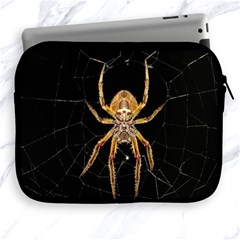 Nsect Macro Spider Colombia Apple Ipad 2/3/4 Zipper Cases by Celenk