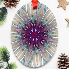 Mandala Kaleidoscope Ornament Oval Ornament (two Sides) by Celenk