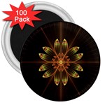 Fractal Floral Mandala Abstract 3  Magnets (100 pack) Front