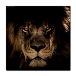 African Lion Mane Close Eyes Tile Coasters Front