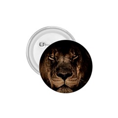 African Lion Mane Close Eyes 1 75  Buttons by Celenk