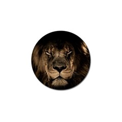 African Lion Mane Close Eyes Golf Ball Marker by Celenk