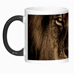 African Lion Mane Close Eyes Morph Mugs by Celenk