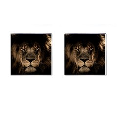 African Lion Mane Close Eyes Cufflinks (square) by Celenk