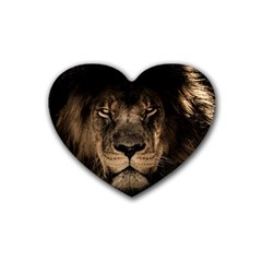 African Lion Mane Close Eyes Heart Coaster (4 Pack)  by Celenk