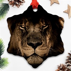 African Lion Mane Close Eyes Snowflake Ornament (two Sides) by Celenk