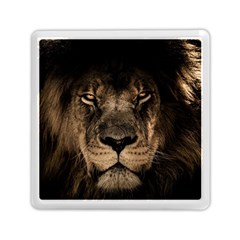 African Lion Mane Close Eyes Memory Card Reader (square)  by Celenk