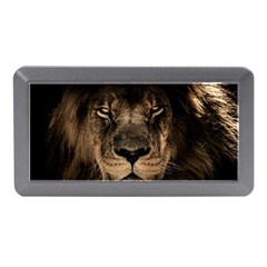 African Lion Mane Close Eyes Memory Card Reader (mini) by Celenk