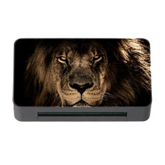 African Lion Mane Close Eyes Memory Card Reader With Cf by Celenk