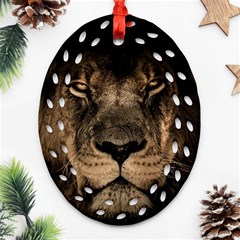 African Lion Mane Close Eyes Oval Filigree Ornament (two Sides) by Celenk