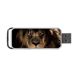 African Lion Mane Close Eyes Portable Usb Flash (one Side) by Celenk