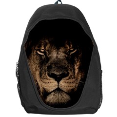 African Lion Mane Close Eyes Backpack Bag by Celenk