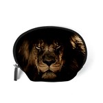 African Lion Mane Close Eyes Accessory Pouches (Small)  Back