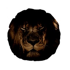 African Lion Mane Close Eyes Standard 15  Premium Flano Round Cushions by Celenk