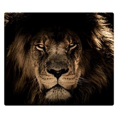 African Lion Mane Close Eyes Double Sided Flano Blanket (small)  by Celenk