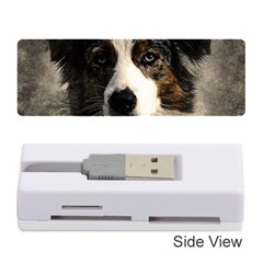 Dog Pet Art Abstract Vintage Memory Card Reader (stick)  by Celenk