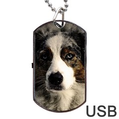 Dog Pet Art Abstract Vintage Dog Tag Usb Flash (one Side) by Celenk