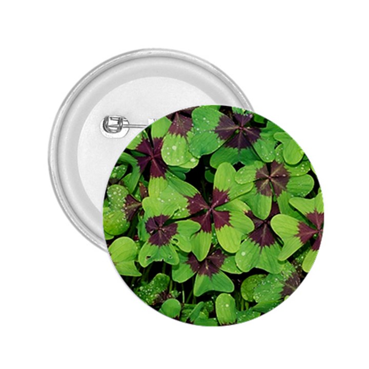 Luck Klee Lucky Clover Vierblattrig 2.25  Buttons