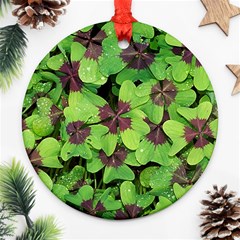 Luck Klee Lucky Clover Vierblattrig Ornament (round) by Celenk