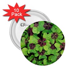 Luck Klee Lucky Clover Vierblattrig 2 25  Buttons (10 Pack)  by Celenk