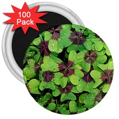 Luck Klee Lucky Clover Vierblattrig 3  Magnets (100 Pack) by Celenk