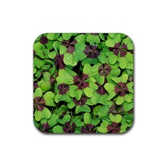 Luck Klee Lucky Clover Vierblattrig Rubber Coaster (square)  by Celenk